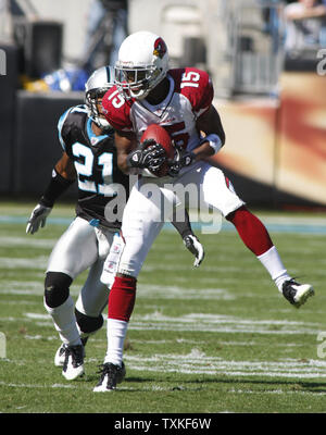 Arizona Cardinals wide receiver Steve Breaston (15) permet une prise en face de Panthers Ken évoluait Lucas (21) pour une période de sept verges de réception dans l'hôte du deuxième trimestre au stade Bank of America le 26 octobre 2008 à Charlotte, Caroline du Nord. (Photo d'UPI/Bob Carey) Banque D'Images