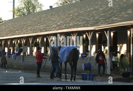 Les chevaux sont lavés par leurs palefreniers dans la grange après matin training à Churchill Downs Lundi, 30 avril 2018, à Louisville, KY. Les formateurs sont la préparation de leurs chevaux pour la 144e exécution du Kentucky Derby c'est prévue pour le samedi 5 mai. Banque D'Images