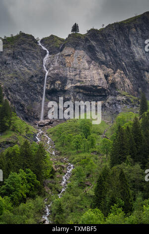 La cascade dans le Weisstannental Isengrind en Suisse cascades de la falaise sur un vert luxuriant couvert journée d'été Banque D'Images