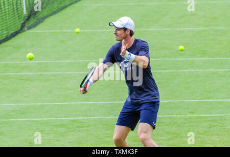 Eastbourne, Royaume-Uni. 25 Juin, 2019. Andy Murray lors d'une session de formation avant son match de double plus tard à la Nature Valley le tournoi international de tennis du Devonshire Park à Eastbourne . Crédit : Simon Dack/Alamy Live News Banque D'Images