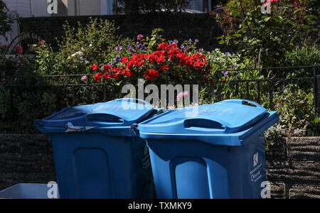 Juin 2019, Paris, France. 2 bacs bleu wheely conseil près de fleurs rouges dans la lumière du soleil. Banque D'Images