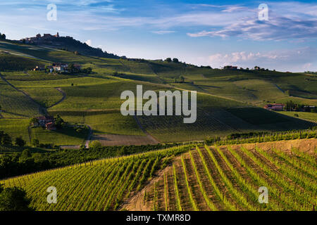 Merveilleux vignobles et de bois sur la colline Sarmassa situé dans la municipalité de Barolo Piémont Italie, le ciel est bleu avec de beaux nuages Banque D'Images