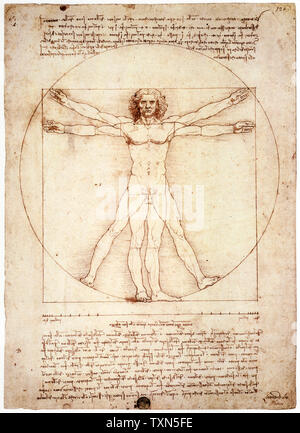 Léonard de Vinci, homme de Vitruve, dessin, vers 1492 Banque D'Images