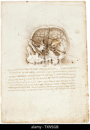 Dessin de Léonard de Vinci, coupe transversale d'un crâne humain, dessins anatomiques, 1489 Banque D'Images