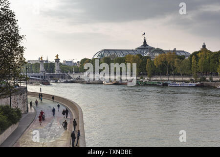 Vue panoramique du Grand Palais et le Pont Alexandre III sur la rivière Seine, Paris, France Banque D'Images