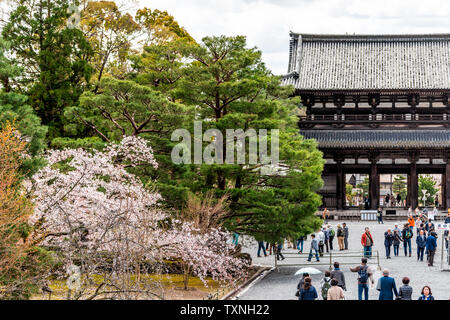 Kyoto, Japon - 10 Avril 2019 : Fleur de cerisier fleurs au Temple Ninna-ji sortie entrée avec des gens touristes marcher Banque D'Images