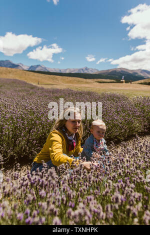 La mère et le bébé se détendre dans un pré, Wanaka, Taranaki, en Nouvelle-Zélande Banque D'Images