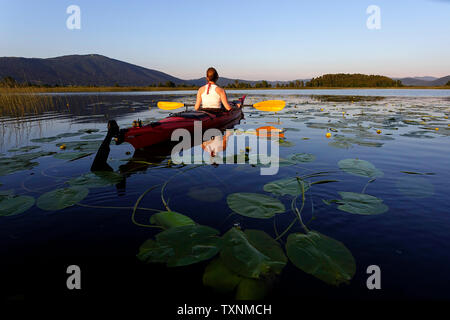 Une bonne femme athlétique kayak au coucher du soleil sur un lac parmi les fleurs de lotus Banque D'Images