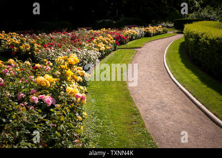 Le jardin de roses à Fort X, une partie de l'ancien anneau forteresse intérieure, Cologne, Allemagne. der Rosengarten am Fort X, einem Teil des ehemaligen inneren Banque D'Images