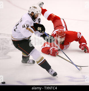 Red Wings de Detroit L'ailier gauche Tomas Holmstrom (96) de la Suède dives à frapper la rondelle sur le stick de Anaheim Ducks center Rob Niedermayer en prolongation de deux jeu de la Conférence de l'Ouest finales au Joe Louis Arena de Detroit le 13 mai 2007. Les canards défait les Red Wings 4-3 en prolongation. (Photo d'UPI/Scott R. Galvin) Banque D'Images