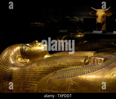 Le sarcophage de la grand-mère de King Tut est exposée au Musée d'Art de Fort Lauderdale le 19 décembre 2005. L'exposition 'King Tut et l'âge d'Or des Pharaons" est programmé pour être exécuté par le 15 avril 2006 et devrait attirer plus de 300 000 visiteurs de partout dans le monde. (Photo d'UPI/Marino / Cantrell) Banque D'Images