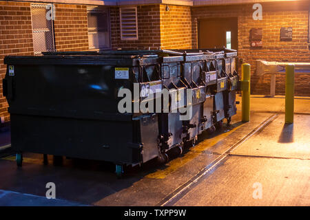 Les bennes en attente de prise en charge par le ministère de l'assainissement dans la zone de service d'un immeuble à New York le mardi, Juin 18, 2019. (© Richard B. Levine) Banque D'Images