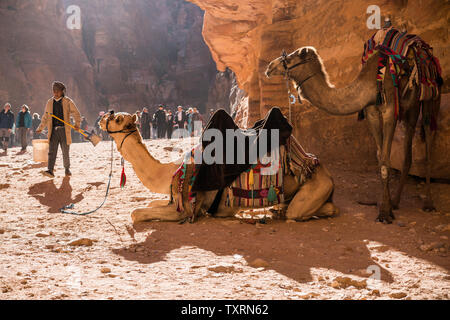 La population locale à la Petra, Jordanie Banque D'Images