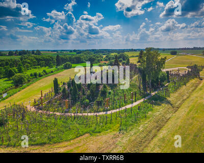 Vue panoramique aérienne de Colline des Croix KRYZIU KALNAS . C'est un célèbre site de pèlerinage religieux catholique en Lituanie Banque D'Images