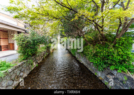 Quartier résidentiel de Kyoto au printemps avec Takase rivière canal en avril au Japon sur la journée ensoleillée avec des arbres verts Banque D'Images