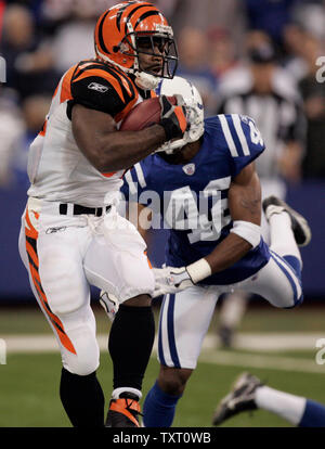 Active dans les années 1960 Rudi Johnson (32) casse d'Indianapolis Colts arrière défensif Jason David (42) pour le premier semestre au toucher des roues du RCA Dome d'Indianapolis le 18 décembre 2006. (UPI Photo/Mark Cowan) Banque D'Images