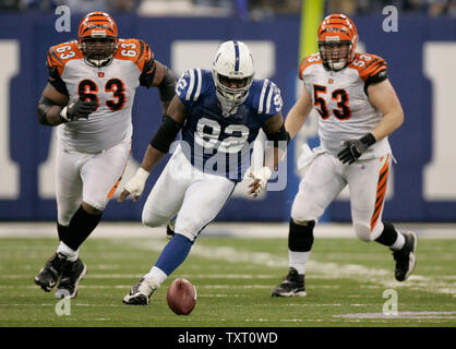 Indianapolis Colts attaquer défensif Anthony McFarland (92) et Cincinnati Bengals poseurs offensive Bobbie Williams (63) et Eric Ghiaciuc (53) chase lâche un ballon au RCA Dome d'Indianapolis le 18 décembre 2006. Les Colts défait les Bengals 34-16. (UPI Photo/Mark Cowan) Banque D'Images