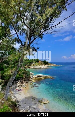 La plage pittoresque de Bataria, Kassiopi,Kassopaia,Îles Ioniennes, Corfou, Grèce Banque D'Images