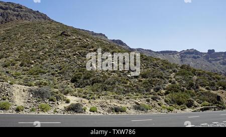 Énorme rocher dans le parc sur l'île de Tenerife teide Banque D'Images