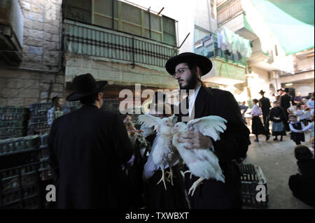 Juifs ultra-orthodoxes un homme porte des poulets pour les Kaparot cérémonie dans la Mea Shearim à Jérusalem voisin, le 5 octobre 2011. Le rituel juif transferts symboliquement les péchés de l'année dernière pour le poulet, et s'effectue avant Yom Kippour, le Jour du Grand Pardon, le jour le plus saint du calendrier juif. UPI/Debbie Hill Banque D'Images