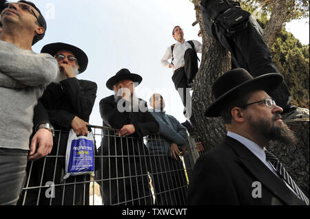 Les juifs ultra-orthodoxes assister aux funérailles des victimes de la fusillade de Toulouse à Jérusalem, le 21 mars 2012. Les victimes, le rabbin Jonathan Sandler,30, ses fils Arieh, 5, et Gabriel, 4, et Miriam Monsonego, 7, ont été abattus le lundi à une école juive de Toulouse, France. UPI/Debbie Hill Banque D'Images