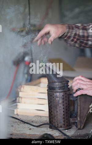 La fumigation des abeilles - un appareil pour faire de la fumée utilisée dans l'extraction du miel pendant l'apiculture Banque D'Images