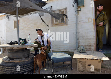 Un soldat israélien animaux un chien alors qu'il prie dans l'avant-poste de colonisation juives illégales Mitzpe Yair, près d'Hébron, en Cisjordanie, le 19 octobre 2012. UPI/Debbie Hill Banque D'Images