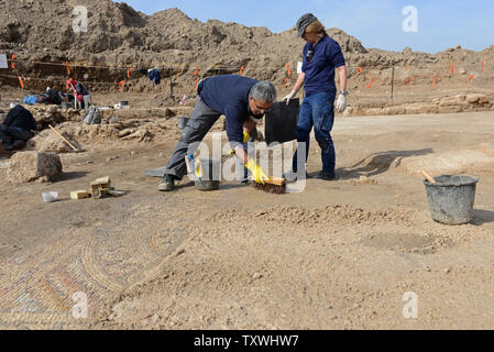 Les travailleurs de l'Autorité des antiquités d'Israël travailler sur une grande mosaïque avec des inscriptions anciennes qui se trouvait dans la demeure d'une grande église Byzantine, environ 1 500 ans,,au cours de fouilles par l'Autorité des antiquités d'Israël en Moshav Aluma, dans le sud d'Israël, le 22 janvier 2014. L'église est de 22 mètres de long et 12 mètres de large et a fait partie d'un vaste et important règlement byzantin dans la région. UPI/Debbie Hill Banque D'Images