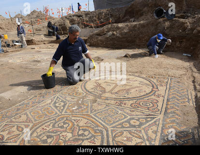 Un travailleur de l'Israel Antiquities Authority travaille sur une grande mosaïque colorée avec des inscriptions anciennes qui se trouvait dans la demeure d'une grande église Byzantine, environ 1 500 ans,,au cours de fouilles par l'Autorité des antiquités d'Israël en Moshav Aluma, dans le sud d'Israël, le 22 janvier 2014. La mosaïque est un Christogram, avec une croix-comme la figure, qui symbolise Jésus Christ, et d'oiseaux le symbole de levage au ciel. Les lettres grecques pour Alpha et Omega sont également trouvés dans la mosaïque. L'église est de 22 mètres de long et 12 mètres de large et a fait partie d'un vaste et important settl Byzantine Banque D'Images