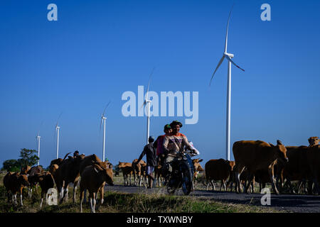 Jeneponto, Sud de Sulawesi, Indonésie. 23 Juin, 2019. Les résidents ride cours des éoliennes sur l'énergie du vent Jeneponto 1Tolo en Sulawesi du Sud.L'Indonésie a déjà deux éoliennes d'une capacité totale de 147 MW et le plus grand en Asie du sud-est. Credit : Hariandi Hafid/SOPA Images/ZUMA/Alamy Fil Live News Banque D'Images