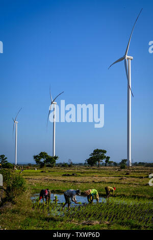 Jeneponto, Sud de Sulawesi, Indonésie. 23 Juin, 2019. Les résidents sont vus à côté de l'agriculture sur les éoliennes l'énergie éolienne 1Tolo Jeneponto power plant à Sulawesi du Sud.L'Indonésie a déjà deux éoliennes d'une capacité totale de 147 MW et le plus grand en Asie du sud-est. Credit : Hariandi Hafid/SOPA Images/ZUMA/Alamy Fil Live News Banque D'Images