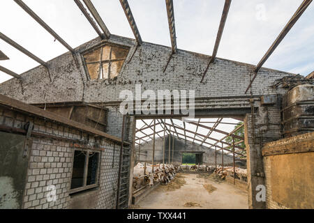 Bâtiment de ferme avec enlevé l'amiante lors de la rénovation d'une étable dans les Pays-Bas Banque D'Images