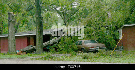 L'ouragan Katrina ont débarqué, soufflant des arbres et lignes électriques de Baton Rouge, Louisiane, le 29 août, 2005. (Photo d'UPI/James Terry III) Banque D'Images