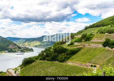 Château Burg Reichenstein dans la vallée du Haut-Rhin moyen (Mittelrhein), pavilion, vignobles par Assmanshausen, Hessen, Allemagne. L'Unesco Banque D'Images