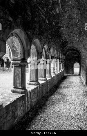 Une image en noir et blanc de l'Arcades du cloître dans les ruines de Moyne Abbey dans le comté de Mayo, Irlande Banque D'Images