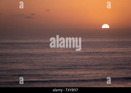 Oiseaux en vol au-dessus de l'Océan Pacifique Banque D'Images