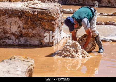 L'homme travaillant sur Salineras de Maras Maras / Mines de sel. L'extraction de sel dans les salines de Maras, terrasses et bassins, le Pérou La Vallée Sacrée. Banque D'Images