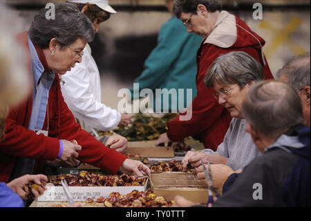 Les bénévoles préparent les fleurs pour flotteurs comme des préparations sont faites pour le 120e Rose Parade de Pasadena, Californie le 30 décembre 2008. Le défilé de cette année a pour thème Chapeau aux divertissements et aura lieu le 1er janvier 2009. (UPI Photo/ Phil McCarten) Banque D'Images