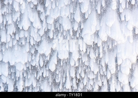 Le vent de neige Tempête de neige à la fin de l'hiver, l'Est de l'Amérique, par Dominique Braud/Dembinsky Assoc Photo Banque D'Images