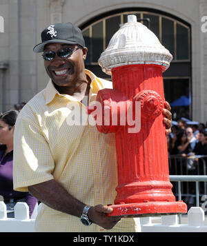 Acteur Michael Clarke Duncan prend un poteau incendie prop comme il assiste à la première de the motion picture film d'action 'Cats & Dogs : The Revenge of Kitty Galore', au Grauman's Chinese Theatre dans la section Hollywood de Los Angeles le 25 juillet 2010. UPI/Jim Ruymen Banque D'Images