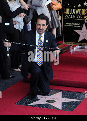 L'acteur Joe Mantegna est titulaire d'une biche qui lui a été présenté par le dramaturge David Mamet, alors qu'il pose avec sa nouvelle star de l'Hollywood Walk of Fame à Los Angeles le 29 avril 2011. Mamet a donné la biche comme un gag, Mantegna, lorsqu'il a entendu dire qu'il devenait une star, c'était une façon d'obtenir un. UPI/Jim Ruymen Banque D'Images