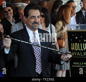 L'acteur Joe Mantegna est titulaire d'une biche qui lui a été présenté par le dramaturge David Mamet, lors d'une cérémonie de dévoilement d'honorer avec le Mantegna 2,438ème étoile du Hollywood Walk of Fame à Los Angeles le 29 avril 2011. Mamet a donné la biche comme un gag, Mantegna, lorsqu'il a entendu dire qu'il devenait une star, c'était une façon d'obtenir un. UPI/Jim Ruymen Banque D'Images