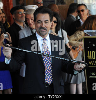 L'acteur Joe Mantegna est titulaire d'une biche qui lui a été présenté par le dramaturge David Mamet, lors d'une cérémonie de dévoilement d'honorer avec le Mantegna 2,438ème étoile du Hollywood Walk of Fame à Los Angeles le 29 avril 2011. Mamet a donné la biche comme un gag, Mantegna, lorsqu'il a entendu dire qu'il devenait une star, c'était une façon d'obtenir un. UPI/Jim Ruymen Banque D'Images