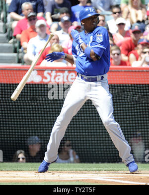 L'arrêt-court des Royals de Kansas City, Alcides Escobar est touché par un lancer de Los Angeles Angels le lanceur partant Ervin Santana en première manche au Angel Stadium à Anaheim, Californie le 8 avril 2012. Les Royals défait les anges 7-3. UPI/Lori Shepler. Banque D'Images