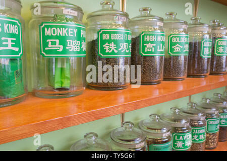 Une étagère pleine de thé médicinal traditionnel chinois dans de grands pots de verre avec une étiquette écrite en anglais et en chinois à la boutique de thé Chinois. Banque D'Images