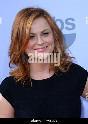 L'actrice Amy Poehler assiste à l'American Film Institute's 43e Prix Hommage à Steve Martin au Kodak Theater dans la section Hollywood de Los Angeles le 4 juin 2015. L'hommage a célébré la diversité de Martin de plus de 40 ans de carrière en cinéma, télévision, théâtre, livres et musique. Photo par Jim Ruymen/UPI Banque D'Images