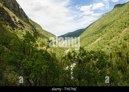 Chulishman valley in mountain Altay la route de Uchar Banque D'Images