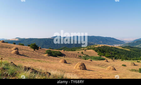 Foin pile sur une colline Banque D'Images