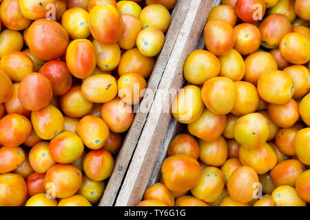 La tomate locale Aux Philippines Philippines, gros plan Banque D'Images