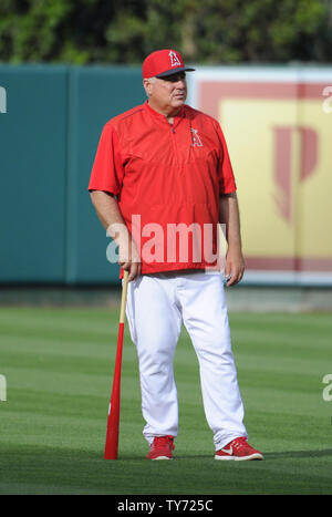 Los Angeles Angels' manager Mike Scioscia watches la pratique au bâton avant le match contre les Mariners de Seattle au Angel Stadium à Anaheim, Californie le 7 avril 2017. Photo par Lori Shepler/UPI Banque D'Images